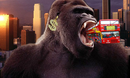 gorilla wallpaper. Urban Gorilla Thrash Tour?