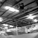 Dugan @ Ramp Ranch (SFW)