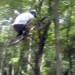 A Day in the Woods